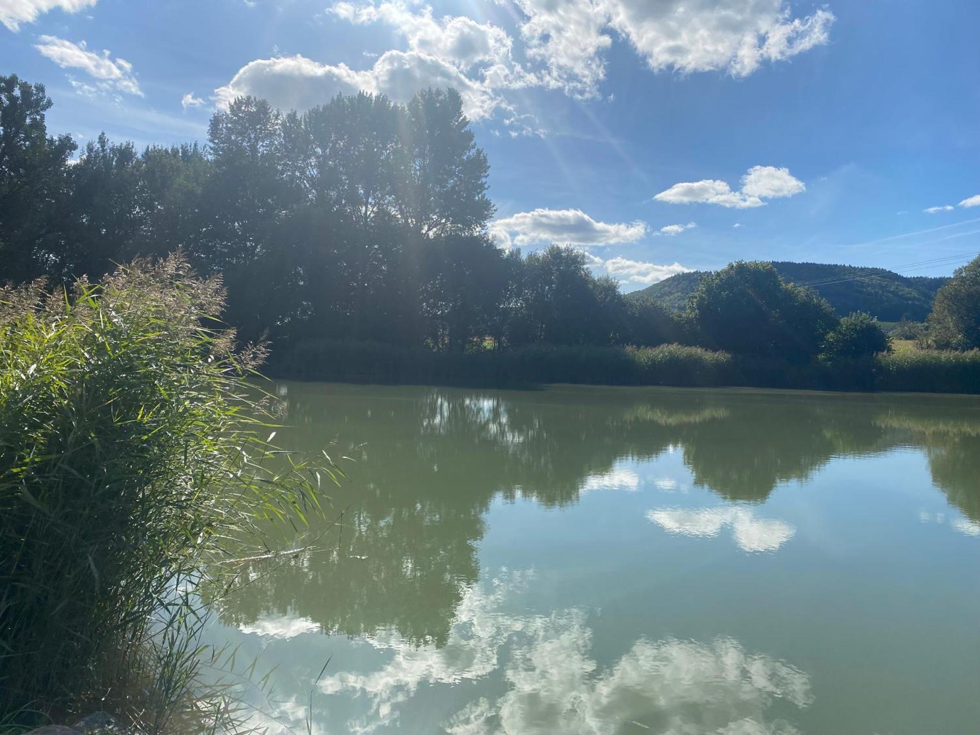 Fewo-Turmblick-Rottweil Esterno foto